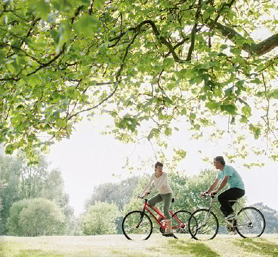 Spring awakens: Embracing the outdoors and organizing your garage for the season - Garage Living