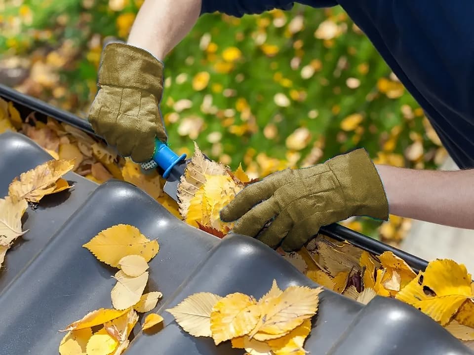 gl-eaves-cleaning-fall