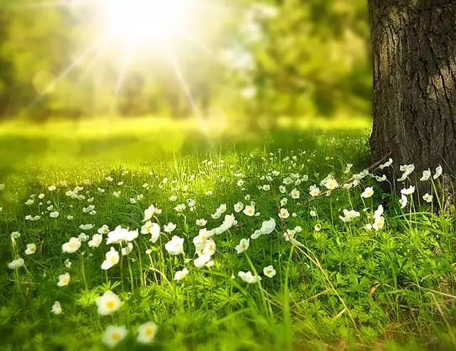 Recharge sun over nature - Garage Living