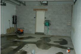  Before Tiny an Overhaul